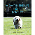 A Day in the Life of Bentley - Paperback