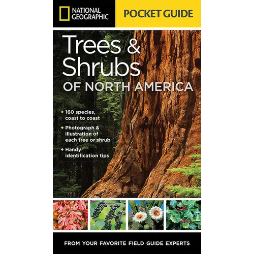 National Geographic Pocket Guide to Trees and Shrubs of North America - Paperback