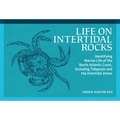 Life on Intertidal Rocks: Identifying Marine Life of the North Atlantic Coast, Including Tidepools and the Intertidal Zones - Paperback