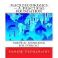 Macroeconomics-A Practical Foundation: Essential Knowledge for Everyone - Paperback