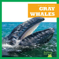 Gray Whales - Library Binding