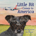 Little Bit Comes to America - Paperback