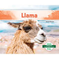 Llama (Spanish Version) - Library Binding
