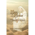 Mirth of the Messiah: A Slightly Skewed Look at the Goofy Side of the Gospels - Paperback