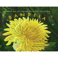 Book One of the Hidden Magic of Plants: Dandeia - Paperback