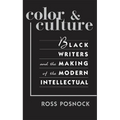 Color and Culture: Black Writers and the Making of the Modern Intellectual - Paperback
