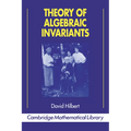 Theory of Algebraic Invariants - Paperback