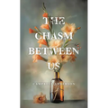 The Chasm Between Us - Paperback