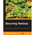 Securing Hadoop - Paperback