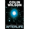Afterlife: An Investigation - Paperback