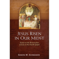 Jesus Risen in Our Midst: Essays on the Resurrection of Jesus in the Fourth Gospel - Paperback