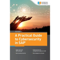 A Practical Guide to Cybersecurity in SAP - Paperback