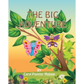 The Big Adventure - Paperback