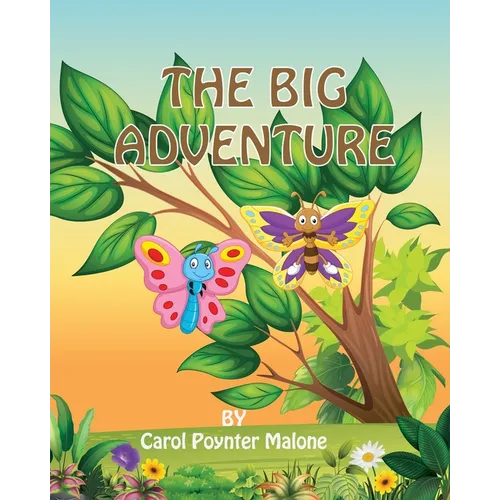 The Big Adventure - Paperback