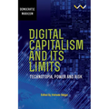 Digital Capitalism and Its Limits: Technotopia, Power and Risk - Paperback
