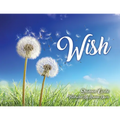 Wish - Paperback
