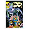King Conan: The Original Comics Omnibus Vol. 2 - Hardcover