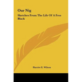 Our Nig: Sketches from the Life of a Free Black - Hardcover