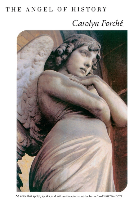 The Angel of History - Paperback