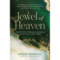 Jewel of Heaven: A Beautiful Story of Brokenness, Redemption, and the Power of a Biker's Prayer - Paperback