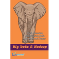 Bigdata & Hadoop - Paperback