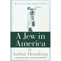 A Jew in America: My Life and a People's Struggle for Identity - Paperback