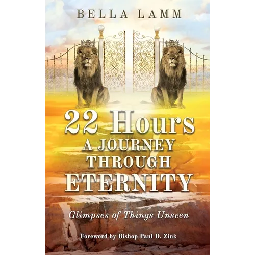 22 Hours: A Journey Through Eternity: Glimpses of Things Unseen - Paperback