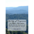 The Edge of Forgiveness on Blue Mountain: Book Two in the Lost in the Adirondacks Series - Paperback