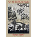 Past the Desolate Places - Paperback
