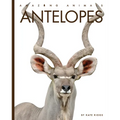 Antelopes - Library Binding
