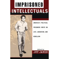Imprisoned Intellectuals: America's Political Prisoners Write on Life, Liberation, and Rebellion - Paperback