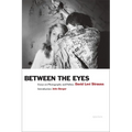 David Levi Strauss: Between the Eyes: Essays on Photography and Politics - Paperback