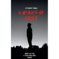 A Mender of Souls - Paperback