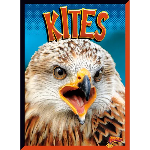 Kites - Library Binding