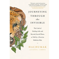 Journeying Through the Invisible - Paperback