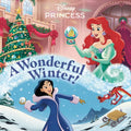 A Wonderful Winter! (Disney Princess) - Paperback