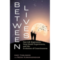 Between Lives: Past-Life Regression, Near-Death Experiences, and the Evolution of Consciousness - Paperback