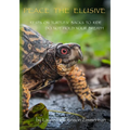 Peace the Elusive - Paperback