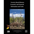Forestry-Based Biomass Economic and Financial Informtion and Tools: An Annotated Bibliography - Paperback