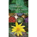 A Field Guide to Medicinal Wild Plants of Canada - Paperback