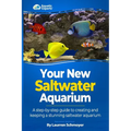 Your New Saltwater Aquarium: A Step By Step Guide To Creating and Keeping A Stunning Saltwater Aquarium - Paperback