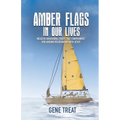 AMBER FLAGS IN OUR LIVES - Negative Behavioral Traits that Compromise Our Abiding Relationship with Jesus - Paperback