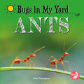 Ants - Paperback