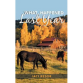 What Happened Last Year - Paperback