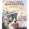 A Place Called Galveston - Hardcover