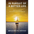 In Pursuit of a Better Life: How to Create a Successful and Fulfilling Life - Paperback