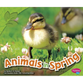 Animals in Spring - Paperback