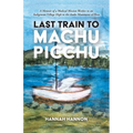 Last Train to Machu Picchu: A Memoir of a Medical Mission Worker in an Indigenous Village High in the Andes Mountains of Peru - Paperback