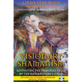 Visionary Shamanism: Activating the Imaginal Cells of the Human Energy Field - Paperback