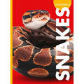Curious about Snakes - Library Binding